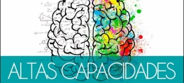 Codema referencia en altas capacidades